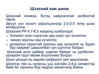 бөөр ялгаруулах тогтолцооны эмгэг | PPT