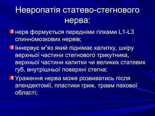 Невропатія статево-стегновогоНевропатія статево-стегнового
нерва:нерва:
нерв формується передніми гілкаминерв формується передніми гілками L1-L3L1-L3
спинномозкових нервів;спинномозкових нервів;
Іннервує м”яз який піднімає калитку, шкіруІннервує м”яз який піднімає калитку, шкіру
верхньої частини стегнового трикутника,верхньої частини стегнового трикутника,
верхньої частини калитки чи великих статевихверхньої частини калитки чи великих статевих
губ, внутрішньої поверхні стегна;губ, внутрішньої поверхні стегна;
Ураження нерва може розвиватись післяУраження нерва може розвиватись після
апендектомії, пластики гриж, травм паховоїапендектомії, пластики гриж, травм пахової
області;області;
 