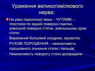 Ураження великогомілковогоУраження великогомілкового
нерва:нерва:
На рівні підколінної ямки: - ЧУТЛИВІ: -На рівні підколінної ямки: - ЧУТЛИВІ: -
гіпестезія по задній поверхні гомілки,гіпестезія по задній поверхні гомілки,
зовнішній поверхні п”ятки, зовнішньому краюзовнішній поверхні п”ятки, зовнішньому краю
стопи;стопи;
- Виражений больовий синдром, каузалгія;Виражений больовий синдром, каузалгія;
- РУХОВІ ПОРУШЕННЯ: - неможливістьРУХОВІ ПОРУШЕННЯ: - неможливість
підошовного згинання стопи і пальцівпідошовного згинання стопи і пальців;;
- Неможливість повороту стопи досерединиНеможливість повороту стопи досередини
 