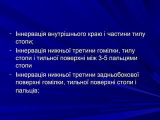 - Іннервація внутрішнього краю іІннервація внутрішнього краю і частини тилучастини тилу
стопи;стопи;
- Іннервація нижньої третини гомілки, тилуІннервація нижньої третини гомілки, тилу
стопи і тильної поверхні між 3-5 пальцямистопи і тильної поверхні між 3-5 пальцями
стопистопи
- Іннервація нижньої третини задньобоковоїІннервація нижньої третини задньобокової
поверхні гомілки, тильної поверхні стопи іповерхні гомілки, тильної поверхні стопи і
пальців;пальців;
 