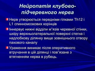 Нейропатія клубово-Нейропатія клубово-
підчеревного нервапідчеревного нерва
Нерв утворюється передніми гілкамиНерв утворюється передніми гілками Th12Th12 іі
L1L1 спинномозкових корінцівспинномозкових корінців
Іннервує нижні відділи м”язів черевної стінки,Іннервує нижні відділи м”язів черевної стінки,
шкіру верхньолатеральної поверхні стегна ішкіру верхньолатеральної поверхні стегна і
надлобкову ділянку вище зовнішнього отворунадлобкову ділянку вище зовнішнього отвору
пахового каналупахового каналу
Ураження виникає після оперативногоУраження виникає після оперативного
втручання в цій ділянці і пов”язане звтручання в цій ділянці і пов”язане з
втягненням нерва в рубець.втягненням нерва в рубець.
 