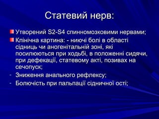 Статевий нерв:Статевий нерв:
УтворенийУтворений SS2-2-SS4 спинномозковими нервами;4 спинномозковими нервами;
Клінічна картина: - ниючі болі в областіКлінічна картина: - ниючі болі в області
сідниць чи аногенітальній зоні, якісідниць чи аногенітальній зоні, які
посилюються при ходьбі, в положенні сидячи,посилюються при ходьбі, в положенні сидячи,
при дефекації, статевому акті, позивах напри дефекації, статевому акті, позивах на
сечопуск;сечопуск;
- Зниження анального рефлексу;Зниження анального рефлексу;
- Болючість при пальпації сідничної ості;Болючість при пальпації сідничної ості;
 