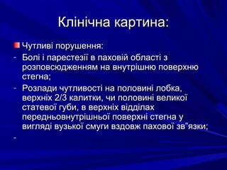 Клінічна картина:Клінічна картина:
Чутливі порушення:Чутливі порушення:
- Болі і парестезії в паховій області зБолі і парестезії в паховій області з
розповсюдженням на внутрішню поверхнюрозповсюдженням на внутрішню поверхню
стегна;стегна;
- Розлади чутливості на половині лобка,Розлади чутливості на половині лобка,
верхніх 2/3 калитки, чи половині великоїверхніх 2/3 калитки, чи половині великої
статевої губи, в верхніх відділахстатевої губи, в верхніх відділах
передньовнутрішньої поверхні стегна упередньовнутрішньої поверхні стегна у
вигляді вузької смуги вздовж пахової зв”язки;вигляді вузької смуги вздовж пахової зв”язки;
-
 