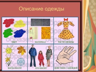 Описание одежды
 