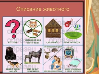 Описание животного
 