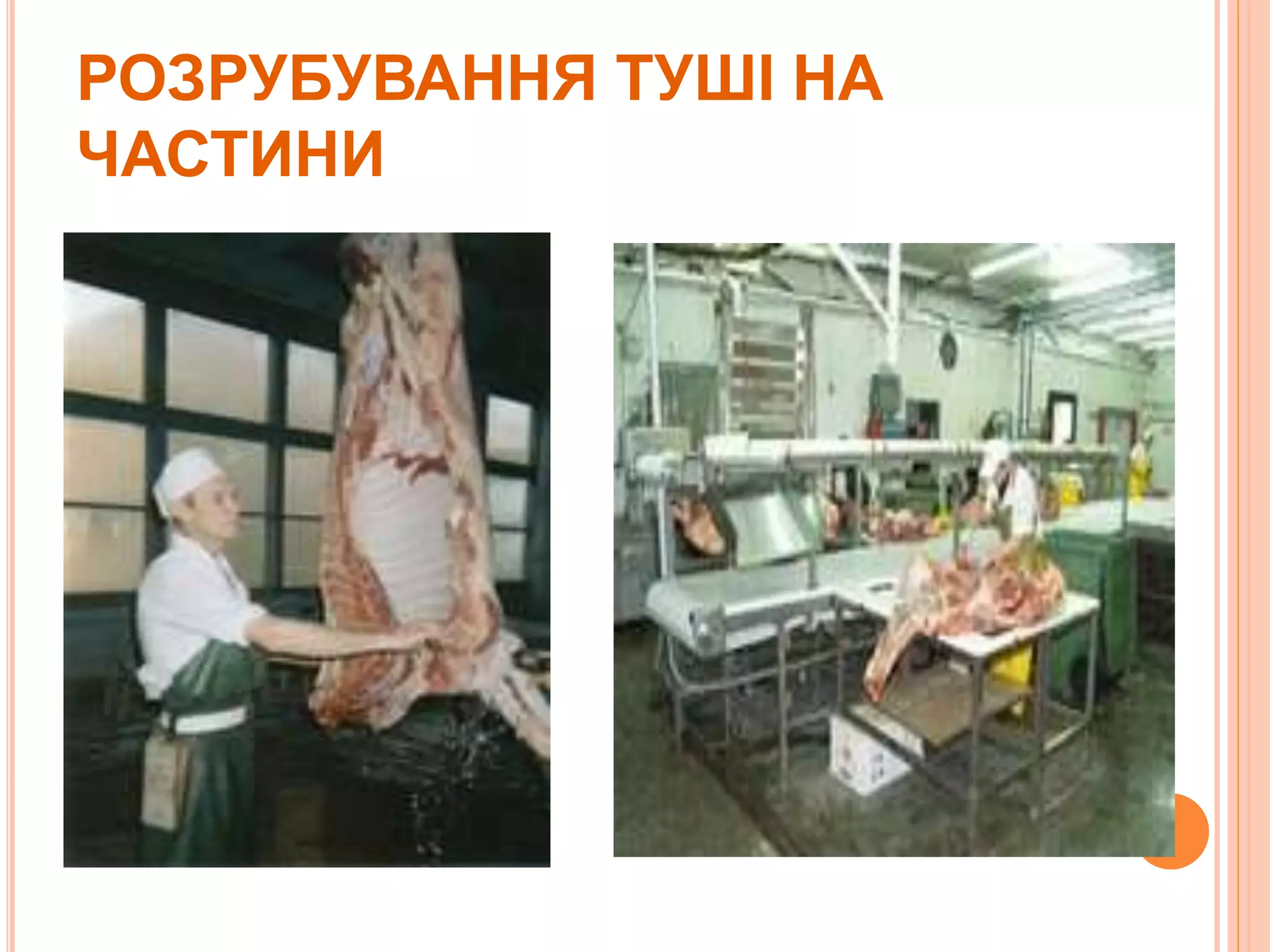 РОЗРУБУВАННЯ ТУШІ НА
ЧАСТИНИ
 