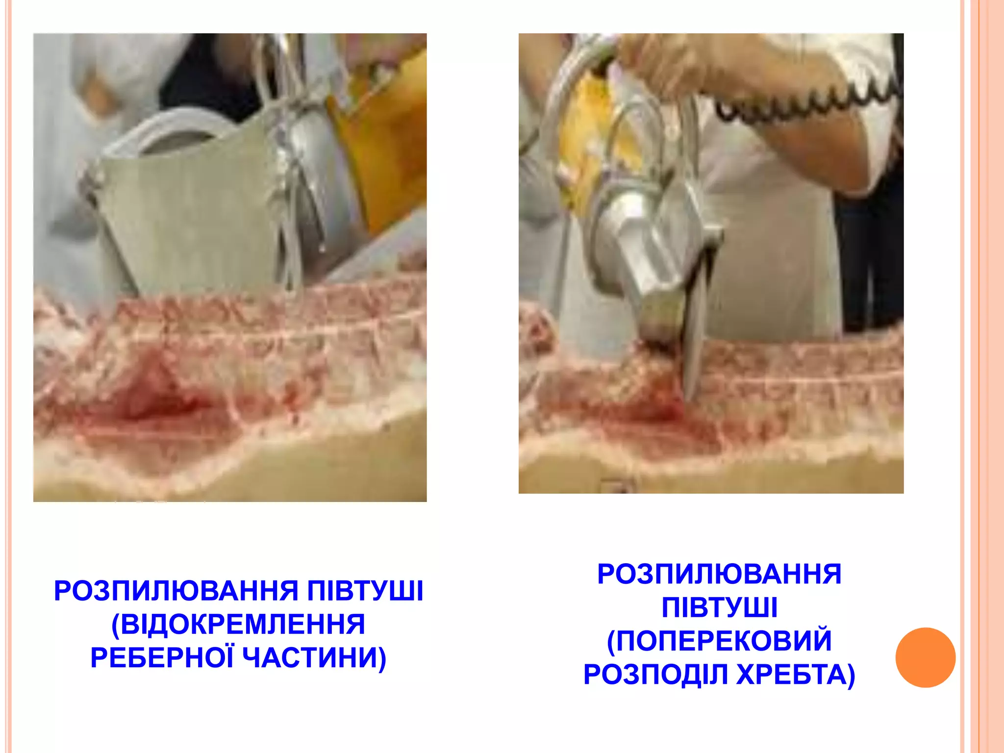 РОЗПИЛЮВАННЯ ПІВТУШІ
(ВІДОКРЕМЛЕННЯ
РЕБЕРНОЇ ЧАСТИНИ)
РОЗПИЛЮВАННЯ
ПІВТУШІ
(ПОПЕРЕКОВИЙ
РОЗПОДІЛ ХРЕБТА)
 