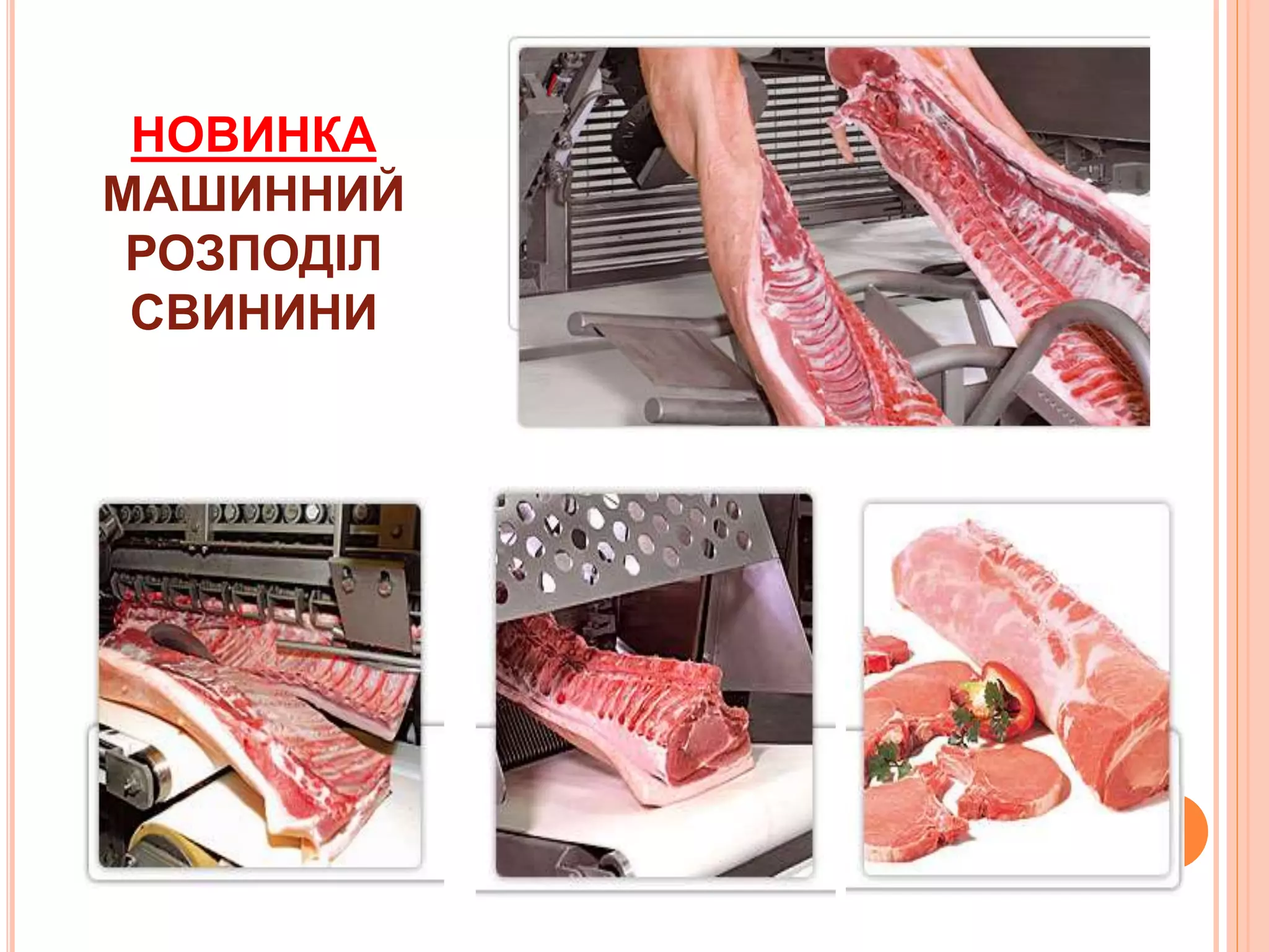 НОВИНКА
МАШИННИЙ
РОЗПОДІЛ
СВИНИНИ
 