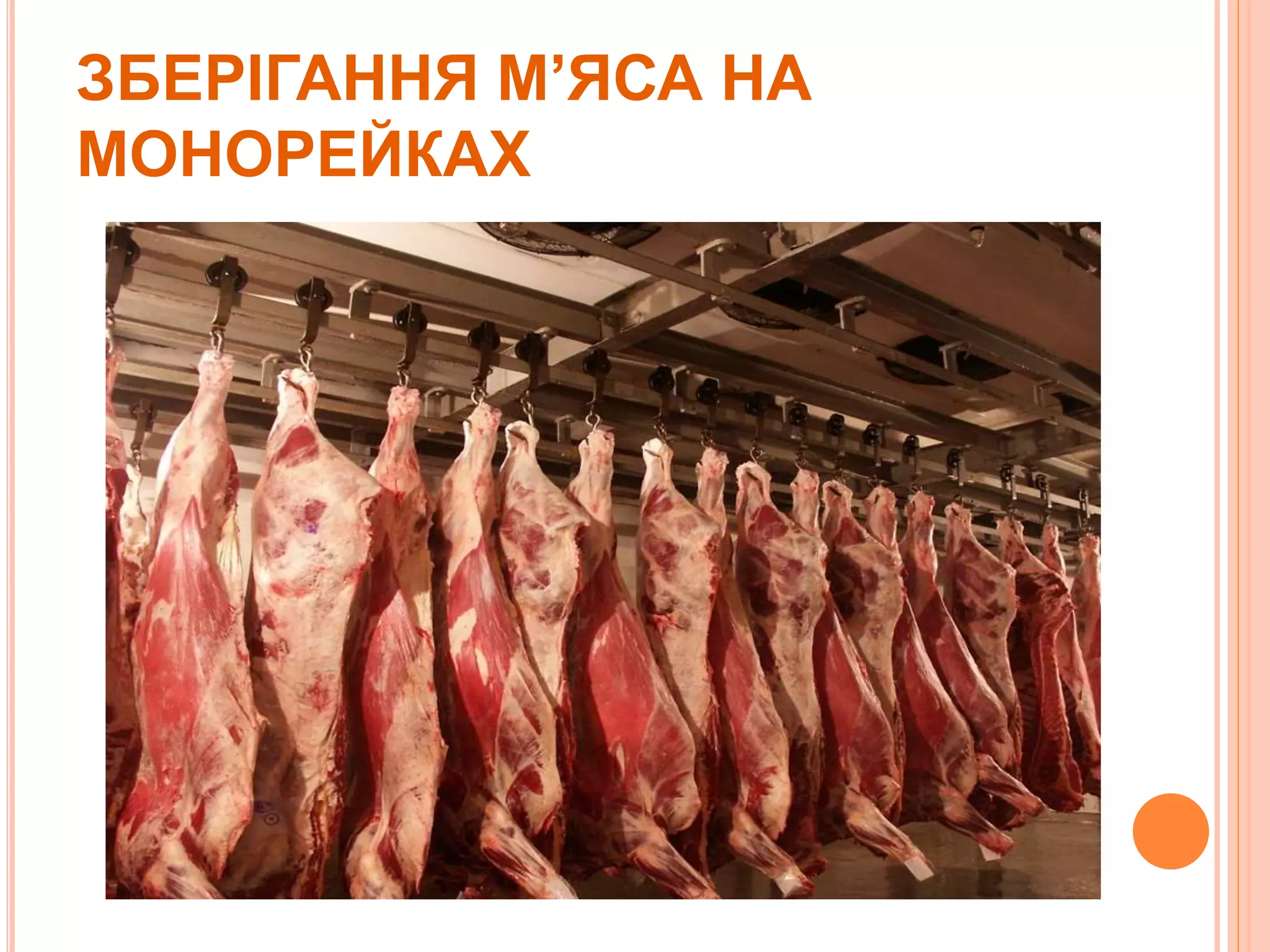 ЗБЕРІГАННЯ М’ЯСА НА
МОНОРЕЙКАХ
 