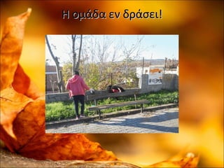 Η ομάδα εν δράσει!Η ομάδα εν δράσει!
 