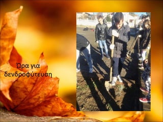 Ώρα για
δενδροφύτευση
 