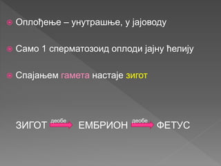  Оплођење – унутрашње, у јајоводу
 Само 1 сперматозоид оплоди јајну ћелију
 Спајањем гамета настаје зигот
ЗИГОТ ЕМБРИОН ФЕТУС
деобе деобе
 