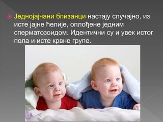  Једнојајчани близанци настају случајно, из
исте јајне ћелије, оплођене једним
сперматозоидом. Идентични су и увек истог
пола и исте крвне групе.
 
