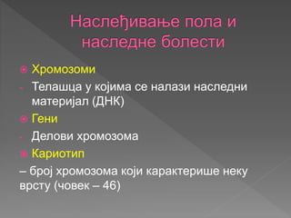  Хромозоми
- Телашца у којима се налази наследни
материјал (ДНК)
 Гени
- Делови хромозома
 Кариотип
– број хромозома који карактерише неку
врсту (човек – 46)
 