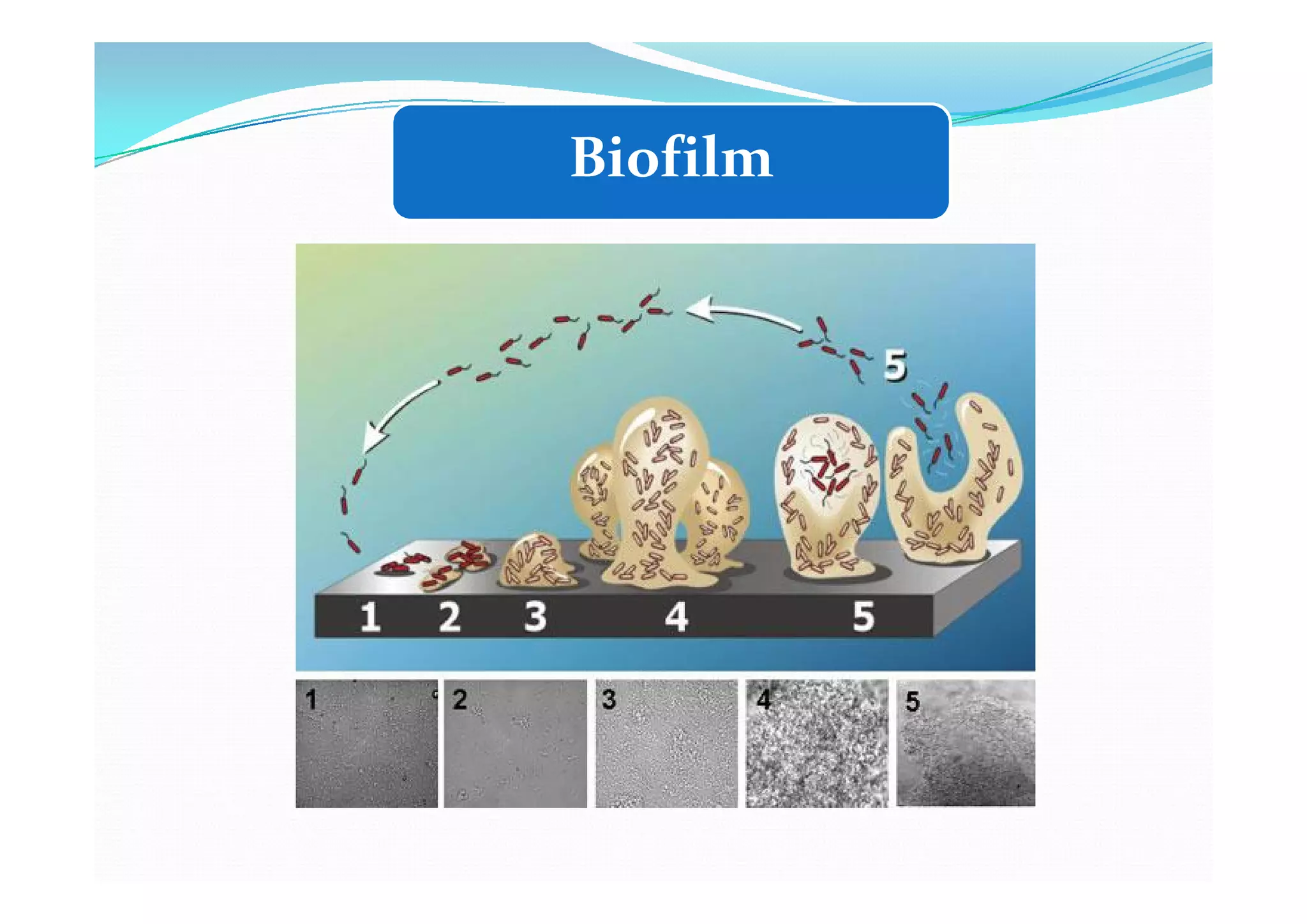 การทำลายเชื้อและการทำให้ปราศจากเชื้อ | PDF