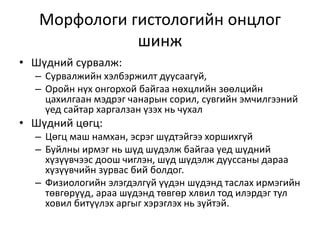 байнгын шүдний онцлог | PPT