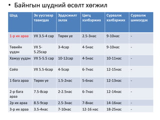 • Байнгын шүдний өсөлт хөгжил
Шүд Эх үүсгэвэр
тавигдах
Эрдэсжилт
эхлэх
Цөгц
хэлбэржих
Сурвалж
хэлбэржих
Сурвалж
шимэгдэх
1-р их араа УХ 3.5-4 сар Төрөх үе 2.5-3нас 9-10нас -
Төвийн
үүдэн
УХ 5-
5.25сар
3-4сар 4-5нас 9-10нас -
Хажуу үүдэн УХ 5-5.5 сар 10-12сар 4-5нас 10-11нас -
Соёо УХ 5.5-6сар 4-5сар 6-7нас 12-15нас -
1 бага араа Төрөх үе 1.5-2нас 5-6нас 12-13нас -
2-р бага
араа
7.5-8сар 2-2.5нас 6-7нас 12-14нас -
2р их араа 8.5-9сар 2.5-3нас 7-8нас 14-16нас -
3-р их араа 3.5-4нас 7-10нас 12-16 нас 18-25нас -
 
