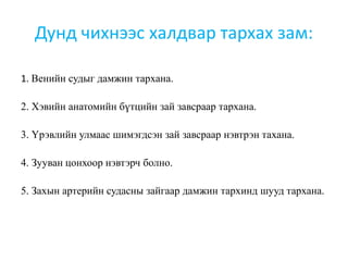 Дунд чихнээс халдвар тархах зам:
1. Венийн судыг дамжин тархана.
2. Хэвийн анатомийн бүтцийн зай завсраар тархана.
3. Үрэвлийн улмаас шимэгдсэн зай завсраар нэвтрэн тахана.
4. Зууван цонхоор нэвтэрч болно.
5. Захын артерийн судасны зайгаар дамжин тархинд шууд тархана.
 