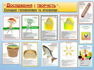 “ ДОСЛІДЖЕННЯ І ТВОРЧІСТЬ “ .
СКЛАДАЮ ГОЛОВОЛОМКИ ТА КРОСВОРДИ :
 