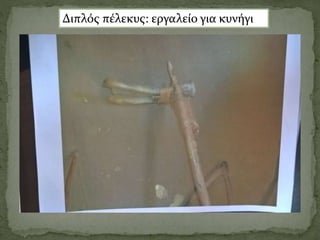 Διπλός πέλεκυς: εργαλείο για κυνήγι
 