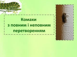 Комахи
з повним і неповним
перетворенням
 