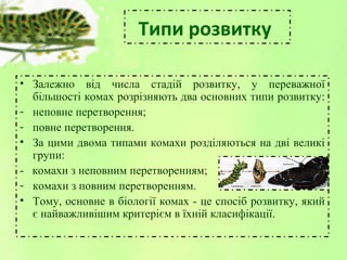 Типи розвитку
• Залежно від числа стадій розвитку, у переважної
більшості комах розрізняють два основних типи розвитку:
- ...