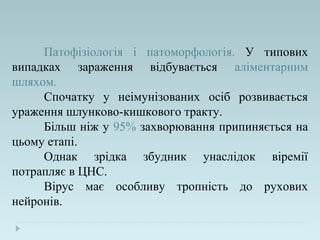 Патофізіологія і патоморфологія. У типових
випадках зараження відбувається аліментарним
шляхом.
Спочатку у неімунізованих осіб розвивається
ураження шлунково-кишкового тракту.
Більш ніж у 95% захворювання припиняється на
цьому етапі.
Однак зрідка збудник унаслідок віремії
потрапляє в ЦНС.
Вірус має особливу тропність до рухових
нейронів.
 