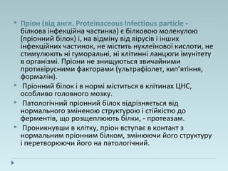  Пріон (від англ. Proteinaceous Infectious particle -
білкова інфекційна частинка) є білковою молекулою
(пріонний білок) і, на відміну від вірусів і інших
інфекційних частинок, не містить нуклеїнової кислоти, не
стимулюють ні гуморальні, ні клітинні ланцюги імунітету
в організмі. Пріони не знищуються звичайними
противірусними факторами (ультрафіолет, кип’ятіння,
формалін).
 Пріонний білок і в нормі міститься в клітинах ЦНС,
особливо головного мозку.
 Патологічний пріонний білок відрізняється від
нормального зміненою структурою і стійкістю до
ферментів, що розщеплюють білки, - протеазам.
 Проникнувши в клітку, пріон вступає в контакт з
нормальним пріонним білком, змінюючи його структуру
і перетворюючи його на патологічний.
 