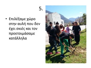 5. .
• Επιλέξαμε χώρο
στην αυλή που δεν
έχει σκιές και τον
προετοιμάσαμε
κατάλληλα
 