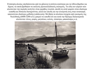 Η άσκηση αλιείας υποδηλώνεται από τα χάλκινα ή οστέινα αγκίστρια και τα λίθινα βαρίδια για
δίχτυα, τα οποία βρέθηκαν σε πολλούς πρωτοελλαδικούς οικισμούς. Τα είδη των ψαριών που
αλιεύονταν την περίοδο αυτή δεν είναι ακριβώς γνωστά, επειδή τα οστά ψαριών είναι ιδιαίτερα
ευπαθή και δύσκολα διατηρούνται, αλλά και επειδή για την ανεύρεσή τους στην ανασκαφή
απαιτούνται ιδιαίτερες μέθοδοι (επίπλευση). Mε βάση τα πλούσια στοιχεία από οικισμούς της
Νεολιθικής (6800-3200 π.X.) μπορεί να ειπωθεί ότι και κατά την Πρώιμη Χαλκοκρατία
αλιεύονταν τόνος, ροφός, μαγιάτικο, κολιός, τσιπούρα, μπακαλιάρος κ.ά.
 