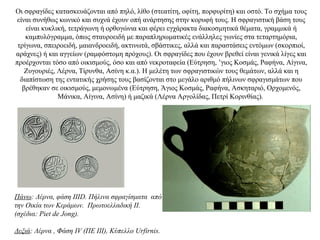 Oι σφραγίδες κατασκευάζονται από πηλό, λίθο (στεατίτη, οφίτη, πορφυρίτη) και οστό. Το σχήμα τους
είναι συνήθως κωνικό και συχνά έχουν οπή ανάρτησης στην κορυφή τους. Η σφραγιστική βάση τους
είναι κυκλική, τετράγωνη ή ορθογώνια και φέρει εγχάρακτα διακοσμητικά θέματα, γραμμικά ή
καμπυλόγραμμα, όπως σταυροειδή με παραπληρωματικές ενάλληλες γωνίες στα τεταρτημόρια,
τρίγωνα, σπειροειδή, μαιανδροειδή, ακτινωτά, σβάστικες, αλλά και παραστάσεις εντόμων (σκορπιοί,
αράχνες) ή και αγγείων (ραμφόστομη πρόχους). Oι σφραγίδες που έχουν βρεθεί είναι γενικά λίγες και
προέρχονται τόσο από οικισμούς, όσο και από νεκροταφεία (Εύτρηση, ’γιος Κοσμάς, Ραφήνα, Αίγινα,
Ζυγουριές, Λέρνα, Τίρυνθα, Aσίνη κ.α.). Η μελέτη των σφραγιστικών τους θεμάτων, αλλά και η
διαπίστωση της εντατικής χρήσης τους βασίζονται στο μεγάλο αριθμό πήλινων σφραγισμάτων που
βρέθηκαν σε οικισμούς, μεμονωμένα (Εύτρηση, Άγιος Κοσμάς, Ραφήνα, Ασκηταριό, Ορχομενός,
Μάνικα, Aίγινα, Ασίνη) ή μαζικά (Λέρνα Αργολίδας, Πετρί Κορινθίας).
Πάνω: Λέρνα, φάση IIID. Πήλινα σφραγίσματα από
την Oικία των Kεράμων. Πρωτοελλαδική ΙΙ.
(σχέδια: Piet de Jong).
Δεξιά: Λέρνα , Φάση IV (ΠΕ ΙΙΙ), Κύπελλο Urfirnis.
 