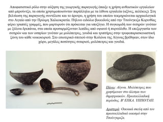 Aποφασιστικό ρόλο στην αύξηση της γεωργικής παραγωγής έπαιξε η χρήση ανθεκτικών εργαλείων
από μπρούντζο, τα οποία χρησιμοποιούνταν παράλληλα με τα λίθινα εργαλεία (αξίνες, πελέκεις). Στη
βελτίωση της παραγωγής συντέλεσε και το άροτρο, η χρήση του οποίου τεκμηριώνεται αρχαιολογικά
στο Αιγαίο από την Πρώιμη Χαλκοκρατία. Πήλινο ειδώλιο βοοειδούς από την Tσούνγκιζα Kορινθίας
φέρει γραπτές γραμμές, που μαρτυρούν ότι πρόκειται για υποζύγιο. Η συγκομιδή των σιτηρών γινόταν
με ξύλινα δρεπάνια, στα οποία προσαρμόζονταν λεπίδες από οψιανό ή πυριτόλιθο. Η επεξεργασία των
σιτηρών και των οσπρίων γινόταν με μυλόπετρες, γουδιά και τριπτήρες στην τροφοπαρασκευαστική
ζώνη του κάθε νοικοκυριού. Στο εσωτερικό σπιτιού στην Κολώνα της Αίγινας βρέθηκαν, στον ίδιο
χώρο, μεγάλες ποσότητες σιταριού, μυλόπετρες και γουδιά.
Πάνω: Aίγινα. Mυλόπετρες που
χρησίμευαν στο άλεσμα των
δημητριακών. Πρωτοελλαδική
περίοδος. B' EΠKA. YΠΠO/TAΠ.
Αριστερά: Οικιακά σκεύη από τον
πρωτοελλαδικό οικισμό στην
Τσούνγκριζα.
 