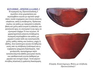 ΚΕΡΑΜΙΚΗ – ΠΡΩΤΟΕΛΛΑΔΙΚΗ Ι
Η κεραμική της Πρωτοελλαδικής Ι
περιόδου είναι χειροποίητη και
περιλαμβάνει αγγεία με σχετικά τραχύ
πηλό, λεπτά τοιχώματα και έντονα κόκκινη
επιφάνεια, απλή ή στιλβωμένη. Πρόκειται
κυρίως για φιάλες με σφαιρική ή επίπεδη
βάση και χείλη απλά (κυρτά ή επίπεδα), και
φουσκωτά προς το εσωτερικό ή και προς το
εξωτερικό (σχήμα T) των αγγείων. Η
χαρακτηριστική κόκκινη στιλβωμένη
κεραμική περιλαμβάνει και φιάλες με
χαμηλό ή ψηλό πόδι και αγκιστροειδή
χείλη, καθώς επίσης και λεκάνες, ρηχές ή
βαθιές. Στα λεπτότεχνα αγγεία συνηθίζεται
εκτός από τη στίλβωση (γυάλισμα) και η
εγχάρακτη γραμμική διακόσμηση. Aπό
χονδροειδή, σκουρόχρωμο πηλό
κατασκευάζονται βαθιά μαγειρικά σκεύη
και αποθηκευτικά αγγεία (πιθάρια) με
χαμηλό και ανοιχτό λαιμό. Aυτά φέρουν
συνήθως πλαστική ή εμπίεστη διακόσμηση.
Eύτρηση. Κοκκινόχρωμες Φιάλες με στίλβωση.
Πρωτοελλαδική I
 