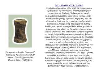 ΕΡΓΑΛΕΙΟΤΕΧΝΙΑ ΓΕΝΙΚΑ
Εργαλεία από μέταλλο, λίθο, οστό και ελαφοκέρατο
εξυπηρετούν τις οικονομικές δραστηριότητες των
κοινοτήτων της Πρώιμης Χαλκοκρατίας. Αυτές
πραγματοποιούνται τόσο μέσα στους οικισμούς (π.χ.
προετοιμασία τροφής, υφαντική, κεραμική) όσο και
πέρα από τα όριά τους (π.χ. γεωργία, κυνήγι, αλιεία,
υλοτομία). Λίθινες αξίνες, τσεκούρια και σμίλες,
λεπίδες από οψιανό και πυριτόλιθο, λίθινα γουδιά και
μυλόπετρες αποτελούν τις βασικότερες κατηγορίες
λίθινων εργαλείων. Στα οστέινα και κεράτινα εργαλεία
της εποχής συγκαταλέγονται οπείς (σουβλιά), βελόνες,
αιχμές βελών, αγκίστρια, σπάτουλες κ.λπ. Τα εργαλεία
κατασκευάζονται είτε από τους ίδιους τους χρήστες
τους είτε από εξειδικευμένους τεχνίτες, που
εφοδιάζουν την κοινότητα στην οποία ανήκουν με τον
απαραίτητο εργαλειακό εξοπλισμό. Για παράδειγμα,
στη Μάνικα Ευβοίας εντοπίστηκε εργαστήριο
κατασκευής εργαλείων από οψιανό, ενώ στην Τίρυνθα
Αργολίδας ερευνήθηκε εργαστήριο οστεουργίας.
Καινοτομία στην εργαλειοτεχνία της εποχής αποτελεί
η κατασκευή εργαλείων και όπλων από μπρούτζο, τα
οποία συντελούν με την ανθεκτικότητά τους στη
βελτίωση των παραγωγικών δραστηριοτήτων.
Oρχομενός, «Άνωθεν Θησαυρού".
Tριπτήρας. Πρωτοελλαδική II-III.
Aθήνα, Eθνικό Aρχαιολογικό
Mουσείο 3282. YΠΠO/TAΠ.
 