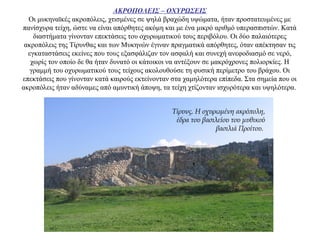ΑΚΡΟΠΟΛΕΙΣ – ΟΧΥΡΩΣΕΙΣ
Οι μυκηναϊκές ακροπόλεις, χτισμένες σε ψηλά βραχώδη υψώματα, ήταν προστατευμένες με
πανίσχυρα τείχη, ώστε να είναι απόρθητες ακόμη και με ένα μικρό αριθμό υπερασπιστών. Κατά
διαστήματα γίνονταν επεκτάσεις του οχυρωματικού τους περιβόλου. Οι δύο παλαιότερες
ακροπόλεις της Τίρυνθας και των Μυκηνών έγιναν πραγματικά απόρθητες, όταν απέκτησαν τις
εγκαταστάσεις εκείνες που τους εξασφάλιζαν τον ασφαλή και συνεχή ανεφοδιασμό σε νερό,
χωρίς τον οποίο δε θα ήταν δυνατό οι κάτοικοι να αντέξουν σε μακρόχρονες πολιορκίες. Η
γραμμή του οχυρωματικού τους τείχους ακολουθούσε τη φυσική περίμετρο του βράχου. Οι
επεκτάσεις που γίνονταν κατά καιρούς εκτείνονταν στα χαμηλότερα επίπεδα. Στα σημεία που οι
ακροπόλεις ήταν αδύναμες από αμυντική άποψη, τα τείχη χτίζονταν ισχυρότερα και υψηλότερα.
Τίρυνς. Η οχυρωμένη ακρόπολη,
έδρα του βασιλείου του μυθικού
βασιλιά Προίτου.
 