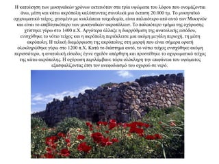 Η κατοίκηση των μυκηναϊκών χρόνων εκτεινόταν στα τρία υψώματα του λόφου που ονομάζονται
άνω, μέση και κάτω ακρόπολη καλύπτοντας συνολικά μια έκταση 20.000 τμ. Το μυκηναϊκό
οχυρωματικό τείχος, χτισμένο με κυκλώπεια τοιχοδομία, είναι παλαιότερο από αυτό των Μυκηνών
και είναι το επιβλητικότερο των μυκηναϊκών ακροπόλεων. Το παλαιότερο τμήμα της οχύρωσης
χτίστηκε γύρω στο 1400 π.Χ. Αργότερα άλλαξε η διαρρύθμιση της ανατολικής εισόδου,
ενισχύθηκε το νότιο τείχος και η ακρόπολη περιέκλεισε μια ακόμη μεγάλη περιοχή, τη μέση
ακρόπολη. Η τελική διαμόρφωση της ακρόπολης στη μορφή που είναι σήμερα ορατή
ολοκληρώθηκε γύρω στο 1200 π.Χ. Κατά το διάστημα αυτό, το νότιο τείχος ενισχύθηκε ακόμη
περισσότερο, η ανατολική είσοδος έγινε σχεδόν απόρθητη και προστέθηκε το οχυρωματικό τείχος
της κάτω ακρόπολης. Η οχύρωση περιλάμβανε τώρα ολόκληρη την επιφάνεια του υψώματος
εξασφαλίζοντας έτσι τον ανεφοδιασμό του οχυρού σε νερό.
 