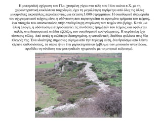 Η μυκηναϊκή οχύρωση του Γλα, χτισμένη γύρω στα τέλη του 14ου αιώνα π.Χ. με τη
χαρακτηριστική κυκλώπεια τοιχοδομία, έχει τη μεγαλύτερη περίμετρο από όλες τις άλλες
μυκηναϊκές ακροπόλεις περικλείοντας μια έκταση 3.000 στρεμμάτων. Η οικοδομική ιδιομορφία
του οχυρωματικού τείχους είναι η οδόντωση που παρατηρείται σε ορισμένα τμήματα του τείχους,
ένα στοιχείο που αποσκοπούσε στην σταθερότερη στερέωση των τειχών στο βράχο. Κατά μια
άλλη άποψη, η οδόντωση αντιπροσωπεύει τις συνδέσεις τμημάτων του τείχους και οφείλεται
απλώς στα διαφορετικά στάδια εξέλιξης του οικοδομικού προγράμματος. Η ακρόπολη έχει
τέσσερις πύλες. Από αυτές η καλύτερα διατηρημένη, η νοτιοδυτική, διαθέτει φυλάκια στις δύο
πλευρές της. Ένα ιδιαίτερης σημασίας εύρημα από την περιοχή αυτή, ένα θραύσμα από λίθινα
κέρατα καθοσιώσεως, τα οποία ήταν ένα χαρακτηριστικό έμβλημα των μινωικών ανακτόρων,
προδίδει τη σύνδεση των μυκηναϊκών ηγεμονιών με το μινωικό πολιτισμό.
 