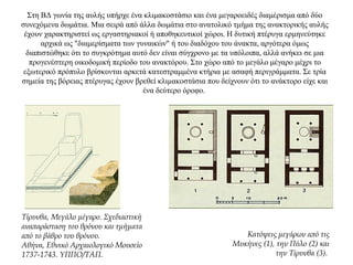 Στη ΒΔ γωνία της αυλής υπήρχε ένα κλιμακοστάσιο και ένα μεγαροειδές διαμέρισμα από δύο
συνεχόμενα δωμάτια. Μια σειρά από άλλα δωμάτια στο ανατολικό τμήμα της ανακτορικής αυλής
έχουν χαρακτηριστεί ως εργαστηριακοί ή αποθηκευτικοί χώροι. Η δυτική πτέρυγα ερμηνεύτηκε
αρχικά ως "διαμερίσματα των γυναικών" ή του διαδόχου του άνακτα, αργότερα όμως
διαπιστώθηκε ότι το συγκρότημα αυτό δεν είναι σύγχρονο με τα υπόλοιπα, αλλά ανήκει σε μια
προγενέστερη οικοδομική περίοδο του ανακτόρου. Στο χώρο από το μεγάλο μέγαρο μέχρι το
εξωτερικό πρόπυλο βρίσκονται αρκετά κατεστραμμένα κτήρια με ασαφή περιγράμματα. Σε τρία
σημεία της βόρειας πτέρυγας έχουν βρεθεί κλιμακοστάσια που δείχνουν ότι το ανάκτορο είχε και
ένα δεύτερο όροφο.
Τίρυνθα, Μεγάλο μέγαρο. Σχεδιαστική
αναπαράσταση του θρόνου και τμήματα
από το βάθρο του θρόνου.
Αθήνα, Εθνικό Αρχαιολογικό Μουσείο
1737-1743. ΥΠΠΟ/ΤΑΠ.
Κατόψεις μεγάρων από τις
Μυκήνες (1), την Πύλο (2) και
την Tίρυνθα (3).
 