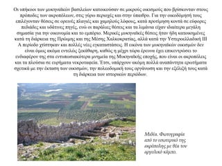 Οι υπήκοοι των μυκηναϊκών βασιλείων κατοικούσαν σε μικρούς οικισμούς που βρίσκονταν στους
πρόποδες των ακροπόλεων, στις γύρω περιοχές και στην ύπαιθρο. Για την οικοδόμησή τους
επιλέγονταν θέσεις σε ορεινές πλαγιές και χαμηλούς λόφους, κατά προτίμηση κοντά σε εύφορες
πεδιάδες και υδάτινες πηγές, ενώ οι παράλιες θέσεις και τα λιμάνια είχαν ιδιαίτερα μεγάλη
σημασία για την οικονομία και το εμπόριο. Μερικές μυκηναϊκές θέσεις ήταν ήδη κατοικημένες
κατά τη διάρκεια της Πρώιμης και της Μέσης Χαλκοκρατίας, αλλά κατά την Υστεροελλαδική ΙΙΙ
Α περίοδο χτίστηκαν και πολλές νέες εγκαταστάσεις. Η εικόνα των μυκηναϊκών οικισμών δεν
είναι όμως ακόμα εντελώς ξεκάθαρη, καθώς η μέχρι τώρα έρευνα έχει επικεντρώσει το
ενδιαφέρον της στα εντυπωσιακότερα μνημεία της Μυκηναϊκής εποχής, που είναι οι ακροπόλεις
και τα πλούσια σε ευρήματα νεκροταφεία. Έτσι, υπάρχουν ακόμη πολλά αναπάντητα ερωτήματα
σχετικά με την έκταση των οικισμών, την πολεοδομική τους οργάνωση και την εξέλιξή τους κατά
τη διάρκεια των ιστορικών περιόδων.
Μιδέα. Φωτογραφία
από το εσωτερικό της
ακρόπολης με θέα τον
αργολικό κάμπο.
 