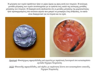 Η μέτρηση των υγρών προϊόντων ήταν εν μέρει όμοια ως προς αυτή των στερεών. Η ανώτερη
μονάδα μέτρησης των υγρών αντιστοιχούσε με το τριάντα τοις εκατό της ανώτερης μονάδας
μέτρησης των στερεών. Η διαφορά αυτή υποδεικνύει ότι οι μονάδες μέτρησης της χωρητικότητας
ήταν προσαρμοσμένες στο ανώτατο φορτίο που μπορεί να μεταφέρει ένας άνθρωπος, το οποίο
είναι διαφορετικό για τα στερεά και τα υγρά.
Αριστερά: Φακόσχημος σφραγιδόλιθος από αιματίτη με παράσταση λιονταριού που κατασπαράσσει
αγελάδα Νιχώρια Νεκρόπολη.
Δεξιά: Φακοειδής σφραγιδόλιθος, από σάρδιο, με παράσταση λέοντα που κατασπαράσσει ιπποειδές,
Νιχώρια Νεκρόπολη.
 