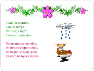 Сильнее солнца,
Слабее ветра
Ног нет, а идёт,
Глаз нет, а плачет.
Посмотри на колобок,
Он румян и краснобок.
Но не рви его до срока-
От него не будет прока.
 