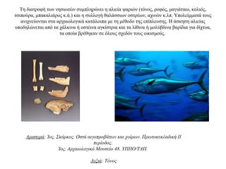 Τη διατροφή των νησιωτών συμπληρώνει η αλιεία ψαριών (τόνος, ροφός, μαγιάτικο, κολιός,
τσιπούρα, μπακαλιάρος κ.ά.) και η συλλογή θαλάσσιων οστρέων, αχινών κ.λπ. Υπολείμματά τους
ανιχνεύονται στα αρχαιολογικά κατάλοιπα με τη μέθοδο της επίπλευσης. Η άσκηση αλιείας
υποδηλώνεται από τα χάλκινα ή οστέινα αγκίστρια και τα λίθινα ή μολύβδινα βαρίδια για δίχτυα,
τα οποία βρέθηκαν σε όλους σχεδόν τους οικισμούς.
Αριστερά: Ίος, Σκάρκος. Οστά αιγοπροβάτων και χοίρων. Πρωτοκυκλαδική II
περίοδος.
Ίος, Αρχαιολογικό Μουσείο 48. ΥΠΠΟ/ΤΑΠ.
Δεξιά: Τόνος
 