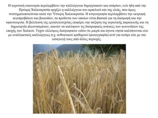 Η αγροτική οικονομία περιλαμβάνει την καλλιέργεια δημητριακών και οσπρίων, ενώ ήδη από την
Πρώιμη Χαλκοκρατία αρχίζει η καλλιέργεια του αμπελιού και της ελιάς, που όμως
συστηματοποιούνται κατά την Ύστερη Χαλκοκρατία. Η κτηνοτροφία περιλαμβάνει την εκτροφή
αιγοπροβάτων και βοοειδών, τα προϊόντα των οποίων είναι βασικά για τη διατροφή και την
υφαντουργία. Η βελτίωση της εργαλειοτεχνίας επιφέρει την αύξηση της αγροτικής παραγωγής και τη
δημιουργία πλεονασμάτων, ικανών να καλύψουν τις διατροφικές ανάγκες των κοινοτήτων της
εποχής του Χαλκού. Τυχόν ελλείψεις διατροφικών ειδών σε μικρά και άγονα νησιά καλύπτονται είτε
με εναλλακτικές καλλιέργειες π.χ. ανθεκτικού κριθαριού (φωτογραφία) αντί για σιτάρι είτε με την
εισαγωγή τους από άλλες περιοχές.
 