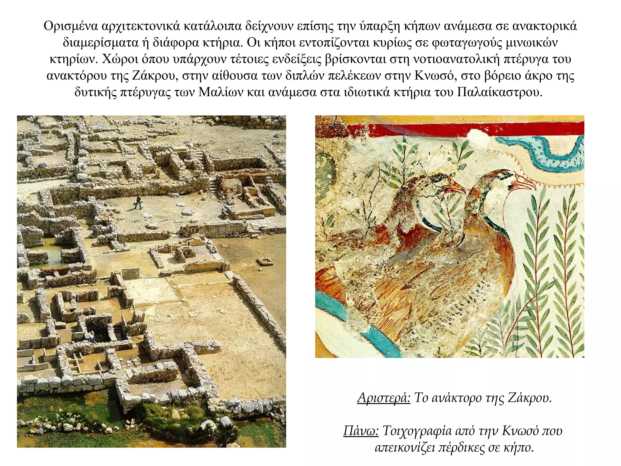 Ορισμένα αρχιτεκτονικά κατάλοιπα δείχνουν επίσης την ύπαρξη κήπων ανάμεσα σε ανακτορικά
διαμερίσματα ή διάφορα κτήρια. Οι κήποι εντοπίζονται κυρίως σε φωταγωγούς μινωικών
κτηρίων. Χώροι όπου υπάρχουν τέτοιες ενδείξεις βρίσκονται στη νοτιοανατολική πτέρυγα του
ανακτόρου της Ζάκρου, στην αίθουσα των διπλών πελέκεων στην Κνωσό, στο βόρειο άκρο της
δυτικής πτέρυγας των Μαλίων και ανάμεσα στα ιδιωτικά κτήρια του Παλαίκαστρου.
Αριστερά: Το ανάκτορο της Ζάκρου.
Πάνω: Τοιχογραφία από την Κνωσό που
απεικονίζει πέρδικες σε κήπο.
 