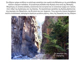 Στο βόρειο τμήμα αντίθετα το ανάγλυφο καταλήγει πιο ομαλά στη θάλασσα με τη μεσολάβηση
πολλών εύφορων πεδιάδων. Η μεγαλύτερη πεδιάδα στην Κρήτη είναι αυτή της Μεσαράς.
Μικρότερες σε έκταση πεδιάδες εκτείνονται στο κεντρικό και το ανατολικό τμήμα του νησιού,
στον ισθμό της Ιεράπετρας και της Σητείας. Τα περισσότερα οροπέδια της Κρήτης βρίσκονται
στις περιοχές του Ηρακλείου, της Κνωσού και των Αρχανών. Τους ορεινούς όγκους διασχίζουν
πολλά εντυπωσιακά, απόκρημνα φαράγγια μεγάλου μήκους, όπως της Σαμαριάς και της Ζάκρου.
Tο φαράγγι της
Σαμαριάς
 