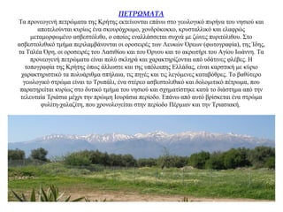 ΠΕΤΡΩΜΑΤΑ
Τα προνεογενή πετρώματα της Κρήτης εκτείνονται επάνω στο γεωλογικό πυρήνα του νησιού και
αποτελούνται κυρίως ένα σκουρόχρωμο, χονδρόκοκκο, κρυσταλλικό και ελαφρώς
μεταμορφωμένο ασβεστόλιθο, ο οποίος εναλλάσσεται συχνά με ζώνες πυριτόλιθου. Στο
ασβεστολιθικό τμήμα περιλαμβάνονται οι οροσειρές των Λευκών Όρεων (φωτογραφία), της Ίδης,
τα Ταλέα Όρη, οι οροσειρές του Λασιθίου και του Όρνου και το ακρωτήρι του Αγίου Ιωάννη. Τα
προνεογενή πετρώματα είναι πολύ σκληρά και χαρακτηρίζονται από υδάτινες φλέβες. Η
τοπογραφία της Κρήτης όπως άλλωστε και της υπόλοιπης Ελλάδας, είναι καρστική με κύριο
χαρακτηριστικό τα πολυάριθμα σπήλαια, τις πηγές και τις λεγόμενες καταβόθρες. Το βαθύτερο
γεωλογικό στρώμα είναι το Τρυπάλι, ένα στέρεο ασβεστολιθικό και δολομιτικό πέτρωμα, που
παρατηρείται κυρίως στο δυτικό τμήμα του νησιού και σχηματίστηκε κατά το διάστημα από την
τελευταία Τριάσια μέχρι την πρώιμη Iουράσια περίοδο. Επάνω από αυτό βρίσκεται ένα στρώμα
φυλίτη-χαλαζίτη, που χρονολογείται στην περίοδο Πέρμιαν και την Τριασιακή.
 