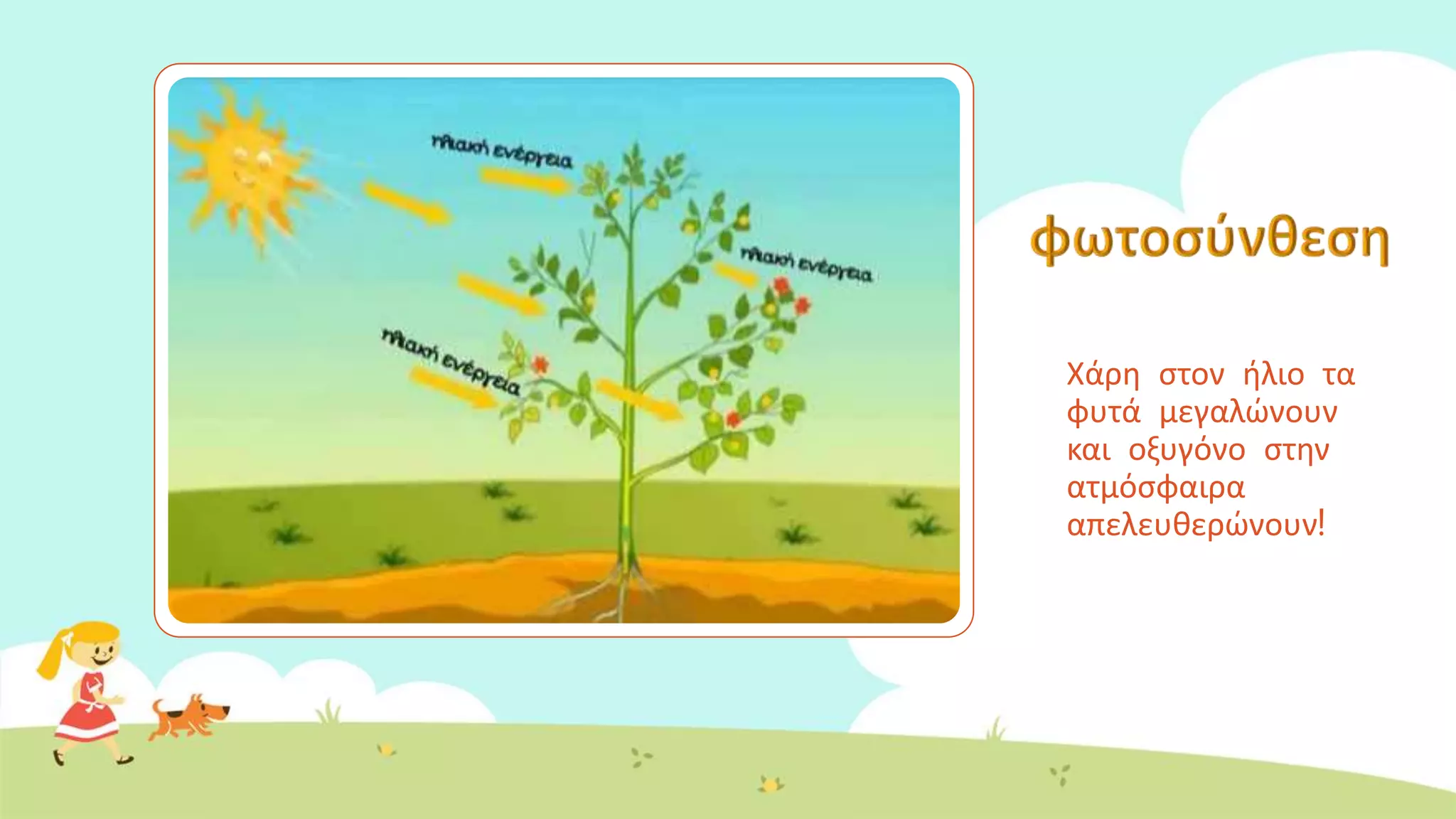 Χάρη στον ήλιο τα
φυτά μεγαλώνουν
και οξυγόνο στην
ατμόσφαιρα
απελευθερώνουν!
 