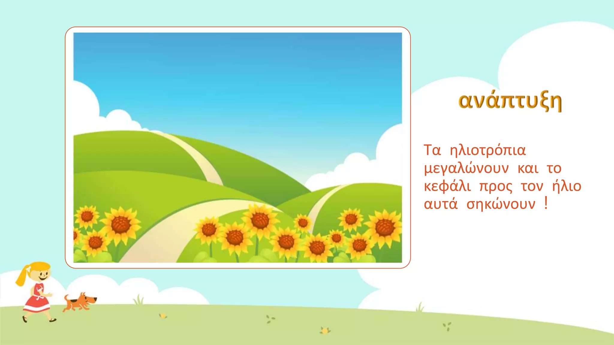 Τα ηλιοτρόπια
μεγαλώνουν και το
κεφάλι προς τον ήλιο
αυτά σηκώνουν !
 