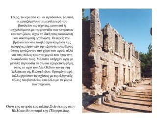 Τέλος, το ιερατείο και οι ιερόδουλοι, δηλαδή
οι εργαζόμενοι στα μεγάλα ιερά του
βασιλείου ως τεχνίτες, μουσικοί ή
ασχολούμενοι με τη φροντίδα των κτημάτων
και των ζώων, είχαν τη δική τους κοινωνική
και οικονομική οργάνωση. Οι ιερείς που
βρίσκονταν στα υψηλότερα κλιμάκια της
ιεραρχίας είχαν υπό την εξουσία τους όλους
όσους εργάζονταν στο χώρο του ιερού, αλλά
και στις πόλεις και στα χωριά που ήταν στη
δικαιοδοσία τους. Μάλιστα υπήρχαν ιερά με
μεγάλη περιουσία σε γη και εξαιρετική φήμη,
όπως το ιερό του Δία Ολβίου κοντά στη
Σελεύκεια της Καλυκάνδου. Ορισμένα ιερά
καλλιεργούσαν τις σχέσεις με τις ελληνικές
πόλεις του βασιλείου και άλλα με τα χωριά
των γηγενών.
Όψη της αγοράς της πόλης Σελεύκειας στον
Καλύκανδο ποταμό της Πλαμφυλίας.
 