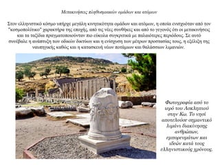 Μετακινήσεις πληθυσμιακών ομάδων και ατόμων
Στον ελληνιστικό κόσμο υπήρχε μεγάλη κινητικότητα ομάδων και ατόμων, η οποία ενισχυόταν από τον
"κοσμοπολίτικο" χαρακτήρα της εποχής, από τις νέες συνθήκες και από το γεγονός ότι οι μετακινήσεις
και τα ταξίδια πραγματοποιούνταν πιο εύκολα συγκριτικά με παλαιότερες περιόδους. Σε αυτό
συνέβαλε η ανάπτυξη των οδικών δικτύων και η ενίσχυση των μέτρων προστασίας τους, η εξέλιξη της
ναυπηγικής καθώς και η κατασκευή νέων ποτάμιων και θαλάσσιων λιμανιών.
Φωτογραφία από το
ιερό του Ασκληπιού
στην Κω. Το νησί
αποτελούσε σημαντικό
λιμάνι διακίνησης
ανθρώπων,
εμπορευμάτων και
ιδεών κατά τους
ελληνιστικούς χρόνους.
 